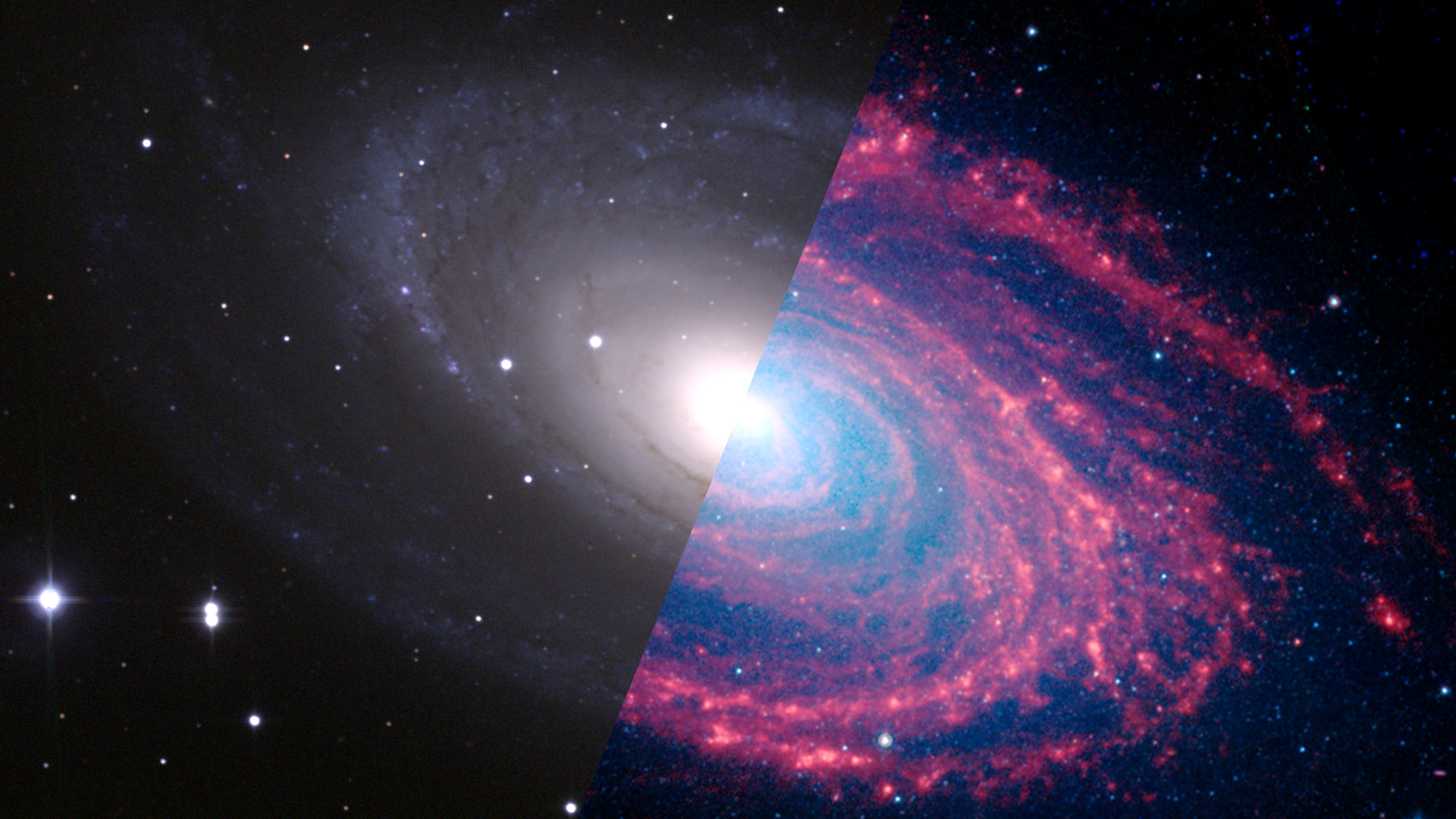 Infrared Universe: Messier 81 - NASA Science